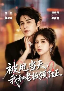被甩当天,我和老板领了证
